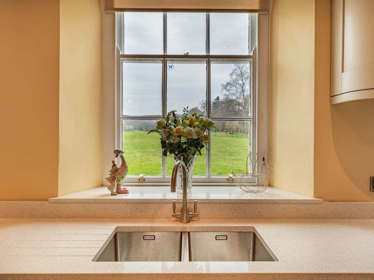 meadow view