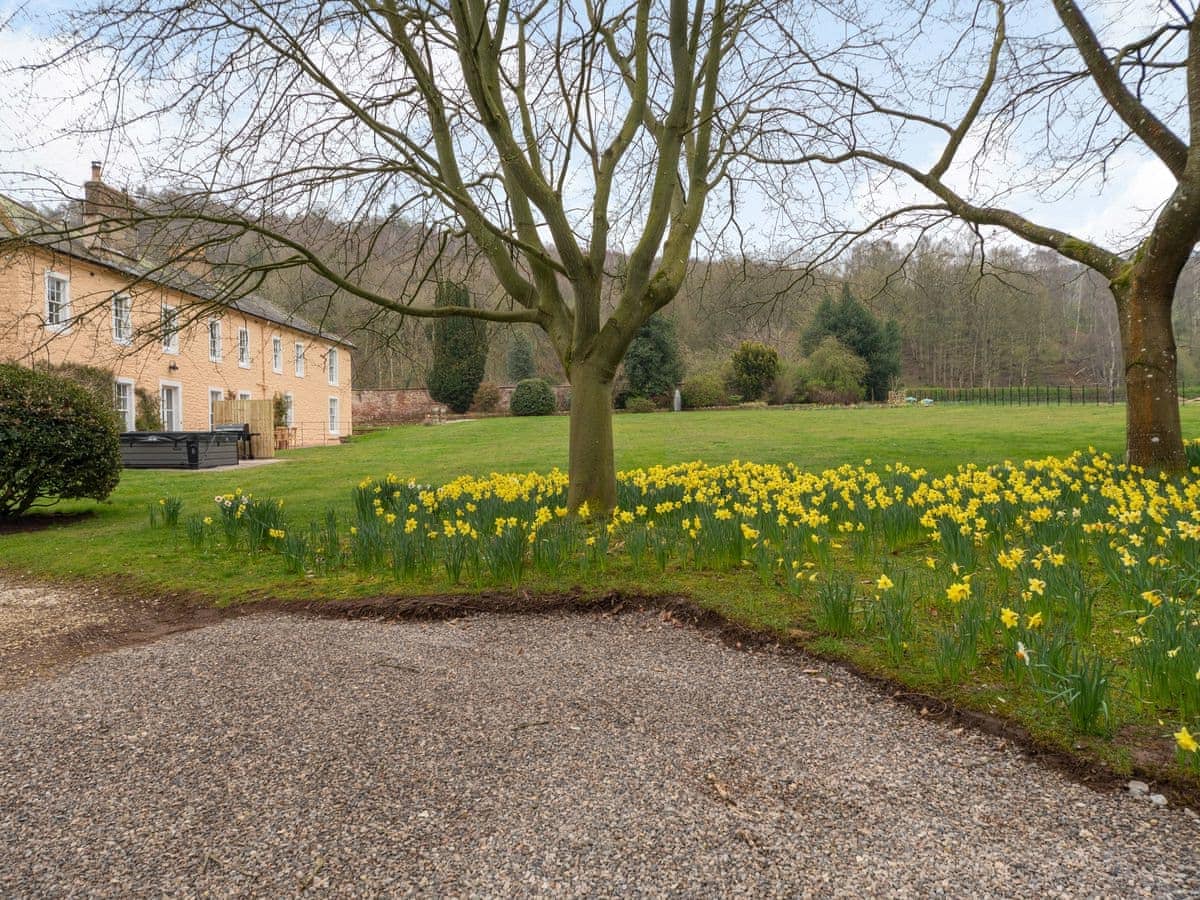 meadow view
