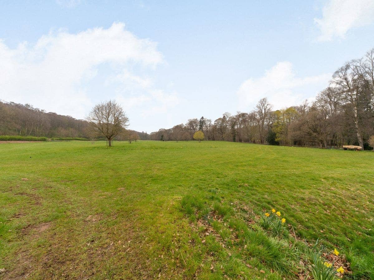 meadow view